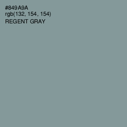 #849A9A - Regent Gray Color Image